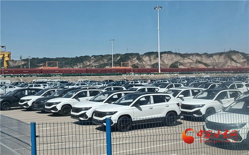 做強蘭州樞紐品牌，構建高質(zhì)量發(fā)展快速引擎——房屋租賃助力城市新升級