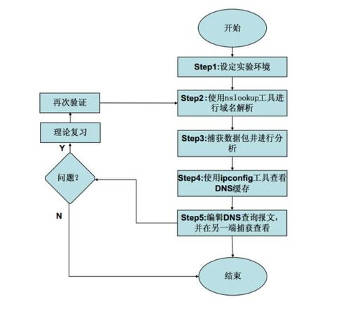 DNS域名服務協(xié)議實驗在計算機網絡技術教學中的實踐與探索