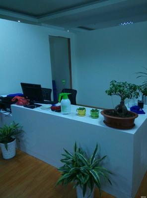 鎮(zhèn)江福運(yùn)投資咨詢 專業(yè)導(dǎo)航，助力財(cái)富穩(wěn)健增值